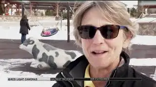 Legislature to revisit red light camera elimination bill