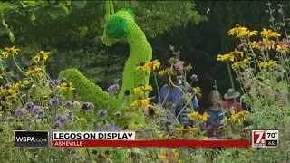 Lego sculptures bringing thousands to NC Arboretum