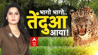 Leopard Attack: संकट में जिंदगानी...कातिल पंजों की खौफनाक कहानी | UP News