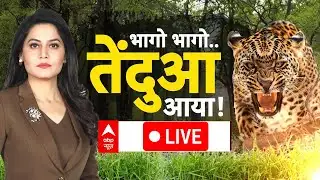 Leopard Attack: संकट में जिंदगानी...कातिल पंजों की खौफनाक कहानी | UP News