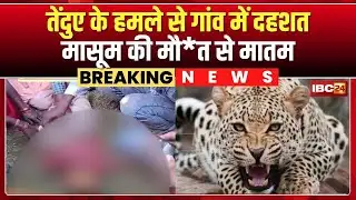 Leopard Attack In Madhya Pradesh: Panic in the village due to leopard attack | Mourning due to th...