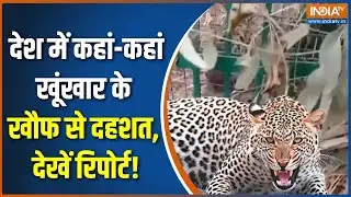 Leopard Attack News : तेंदुए की दस्तक, लोगों में भारी दहशत | UP Tendua Attack | Surat | Moradabad