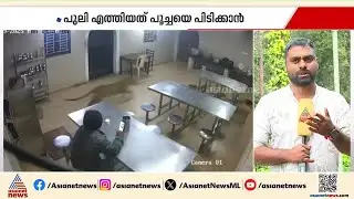പുലി എത്തിയത് പൂച്ചയെ പിടിക്കാൻ; സംഭവം നീലഗിരിയിൽ , ദൃശ്യങ്ങൾ | Leopard | CCTV Visuals