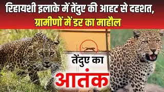 Leopard News : रिहायशी इलाके में तेंदुए की आहट से दहशत, ग्रामीणों में डर का माहौल | Kushinagar News