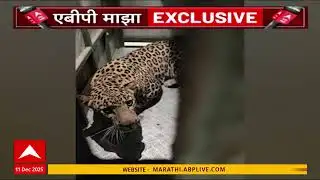 Leopard rescue Operation At Nagpur : बिबट्याला पकडण्यासाठी आवश्यक सामग्रीची कमतरता