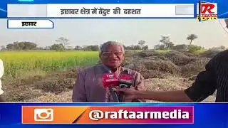 Leopard terror in Ichhawar area