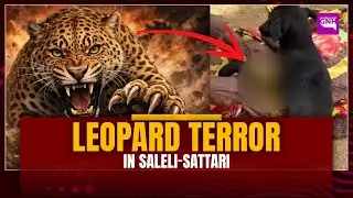 LEOPARD TERROR IN SALÉLI–SATTARI
