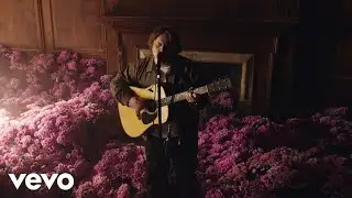 Lewis Capaldi - Survive (In Bloom Official Video)