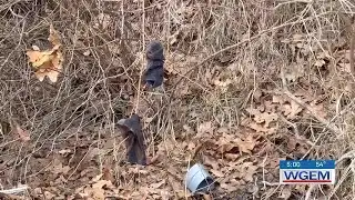 Lewis County, Missouri, faces issues with littering and dumping