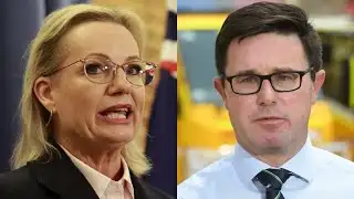 Liberal Party’s climate action decision will ‘make or break’ the Coalition