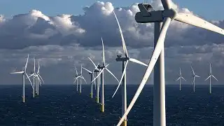 Liberal senator breaks rank on Coalition’s net-zero policy