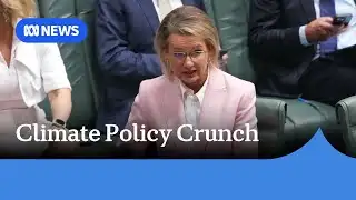 Liberals splinter as momentum builds towards dumping net zero | ABC NEWS