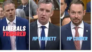 Liberals triggered by MP Cooper & MP Barrett on Foreign Election Interference