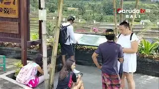 LIBUR NATARU, KUNJUNGAN WISATAWAN KE DTW JATILUWIH TURUN