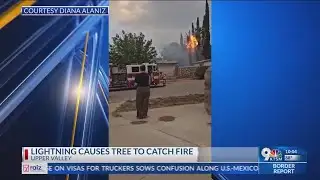 Lightning strike ignites palm tree in West El Paso