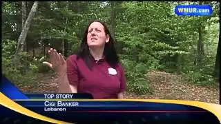 Lightning strikes at Canaan pond