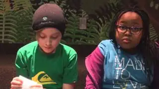 Lights! Camera! Action! News!