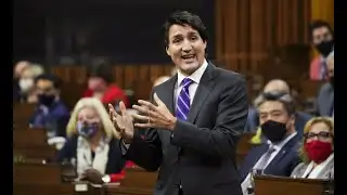 LILLEY UNLEASHED: Trudeau is softer on crime than ever before