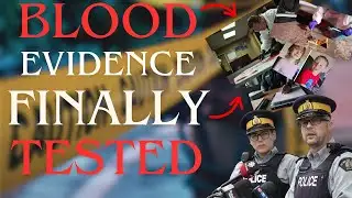 Lily & Jack Sullivan: DNA BREAKTHROUGH — Blood Evidence Tested from Blanket |True Crime Documentary.
