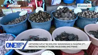 Limitadong suplay ng shellfish, nararanasan sa Dagupan City | One North Central Luzon