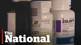 Link between autism and antidepressant use?