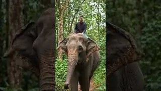 #liriklagu #creator #viral #funny #new