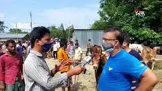 #Live  নীলফামারি থেকে কোরবানির হাটের খবর জানাচ্ছেন ইয়াসিন সিথুন | Nilphamari | DeeptoNews |