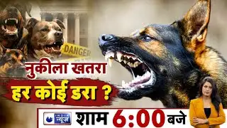 LIVE : नुकीला खतरा, हर कोई डरा? | India News | Latest | Dog Attack | Supreme Court