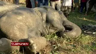 🛑 LIVE:সিলেটে ট্রেনের ধাক্কায় আহত হাতি, চলছে উদ্ধার কার্যক্রম