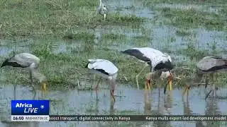 LIVE: #AfricaLive 10GMT 10/09/2020