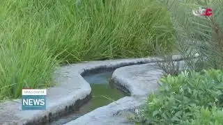 Live broadcast | English News Bulletin