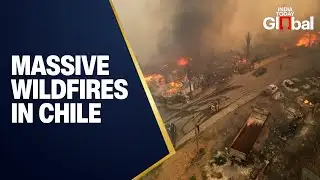 LIVE: Chile Wildfires Escalate – State of Catastrophe Declared