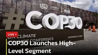 🔴 LIVE: COP30 Delegates Hold Informal Plenary On Final Day | AC13
