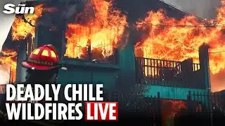 LIVE: Deadly Chile fires trigger state of catastrophe and mass evacuations