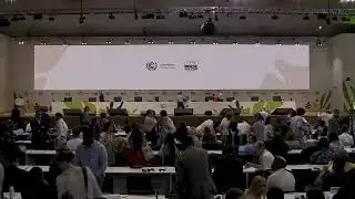 LIVE: Informal plenary on final day of COP30