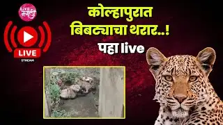 🛑कोल्हापुरात बिबट्याचा थरार..!  पहा live #livemarathi #kolhapur