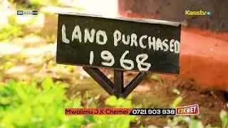 LIVE: NENETESETAI SHOW #Nenetesetai