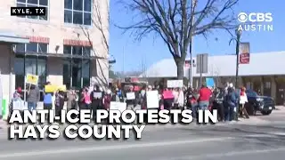 LIVE NOW: Anti-ICE protests in Kyle