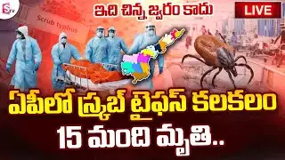 🔴LIVE: Scrub Typhus Deaths Reported in Andhra Pradesh | ఏపీలో స్క్రభ్ టైఫస్ | Scrub Typhus Symptoms