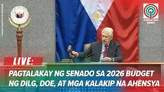 LIVE: Senate holds budget plenary debates for DILG, DOE, and attached agencies