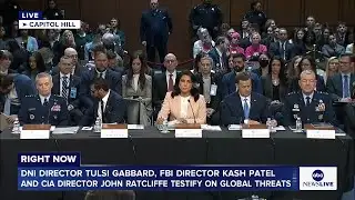 LIVE: Senate Intelligence Committee hearing on global threats