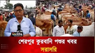 শেরপুর কুরবানি পশুর খবর সরাসরি | Live | Sherpur | Deepto News