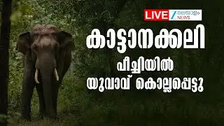 Live: Thrissur Elephant Attack | കാട്ടാനക്കലി: പീച്ചിയില്‍ യുവാവ് കൊല്ലപ്പെട്ടു | Zee Malayalam News