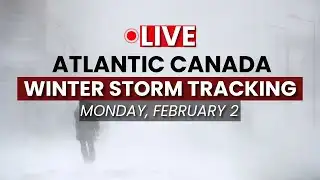 LIVE TRACKING: Groundhog Day Predictions Amid a Nor