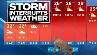 Live Weather Forecast Gets an Unexpected Visitor