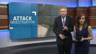 Llamas killed in mysterious attack, LMAS says