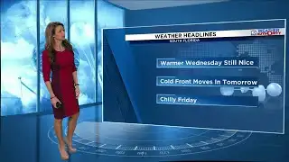 Local 10 News Weather: 02/04/26