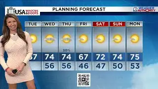 Local 10 News Weather: 2/3/26 Morning Edition