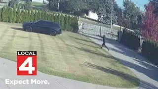 Local 4 News at Noon -- Oct. 22, 2025