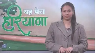 Local 7 News Haryana Bulletin LIVE
